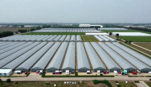 鲜果加工品在冷链配送场景中的应用分析